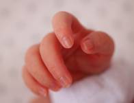 Elisabeth LAVALL - LAVALL ELISABETH