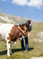 ALICE PEROTTI - Alice PEROTTI